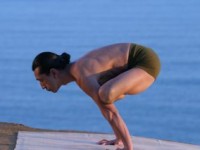 �P���E�n���N�}